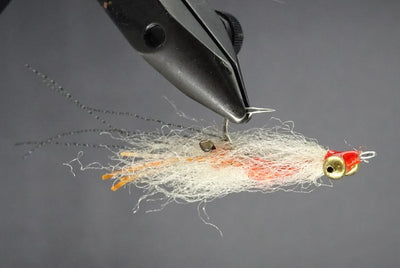 LONKS SPAWNING SHRIMP