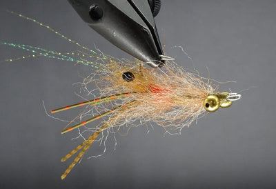 LONKS SPAWNING SHRIMP