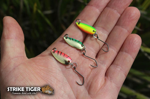 Strike Tiger 1 Leech - Soft Plastics Lure - Compleat Angler Ringwood