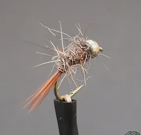 CATEGORY 3 HARE AND COPPER GOLD
