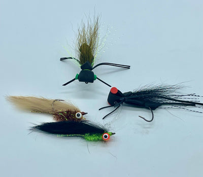 BASS FLY SELECTION