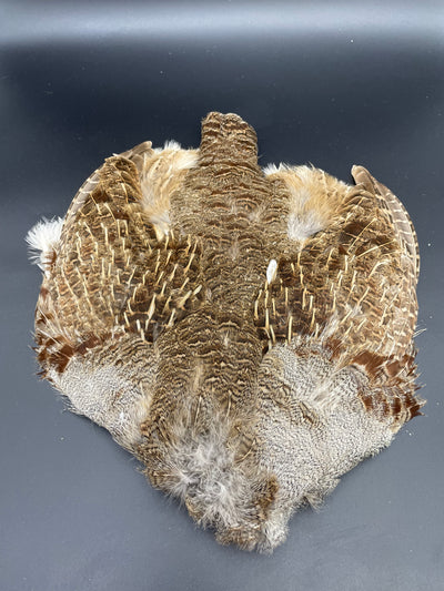 HARELINE PARTRIDGE SKIN